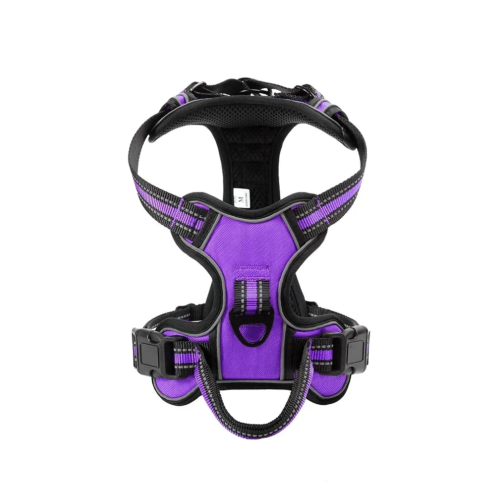 Adjustable No-Pull Dog Harness & Leash Set